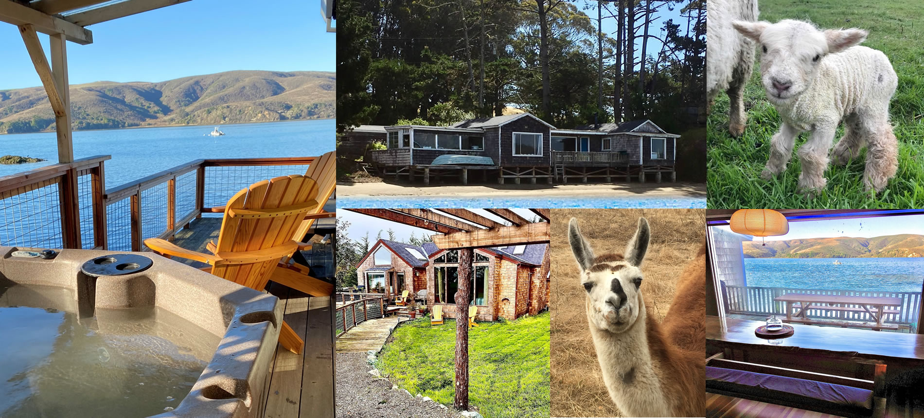 high tide cottages & farm tomales bay collage