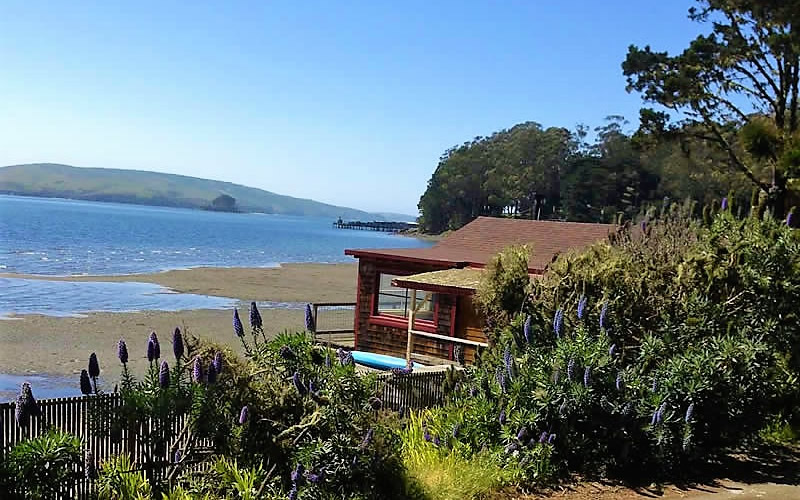 tomales bay beach cottage